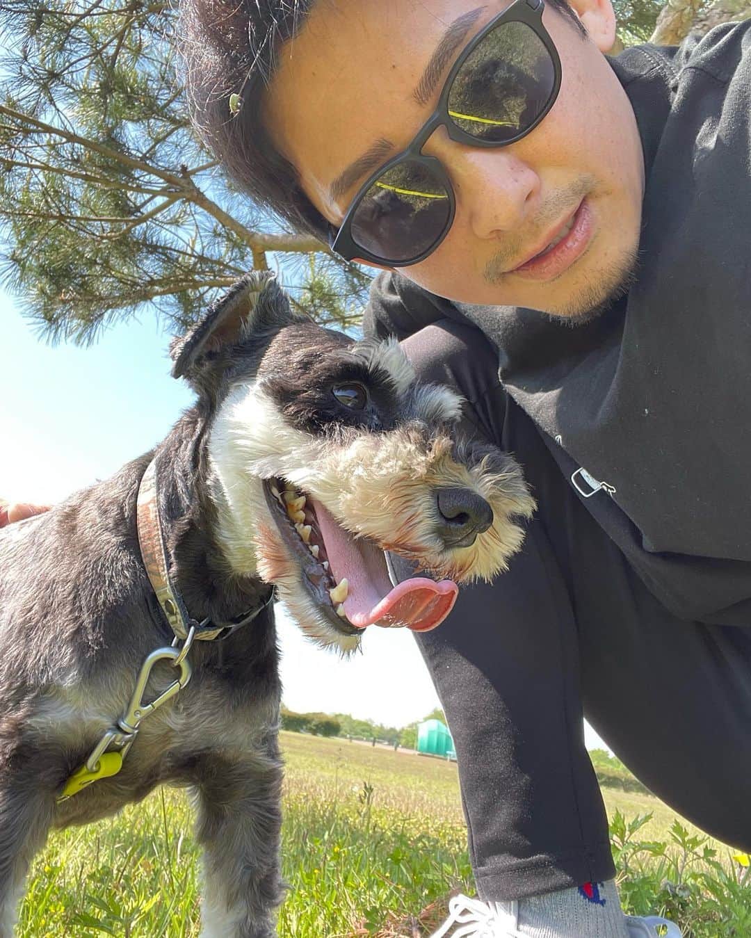 吉永啓之輔さんのインスタグラム写真 - (吉永啓之輔Instagram)「晴れた日は散歩🐶  #ラッド会長」5月10日 18時55分 - keinosuke91