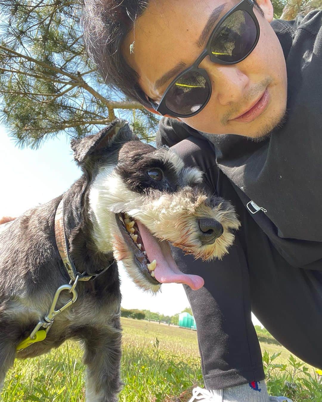 吉永啓之輔さんのインスタグラム写真 - (吉永啓之輔Instagram)「晴れた日は散歩🐶  #ラッド会長」5月10日 18時55分 - keinosuke91