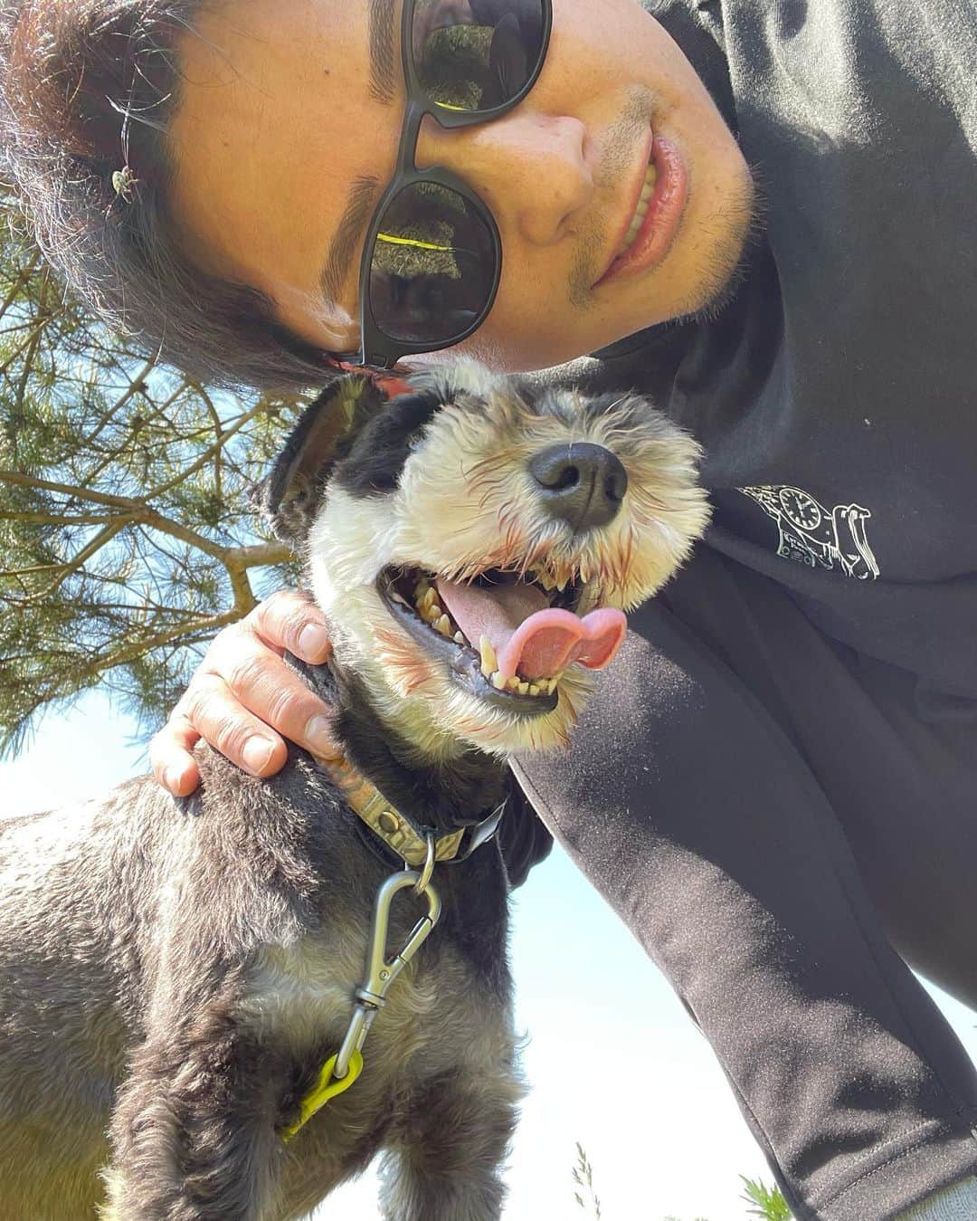 吉永啓之輔さんのインスタグラム写真 - (吉永啓之輔Instagram)「晴れた日は散歩🐶  #ラッド会長」5月10日 18時55分 - keinosuke91
