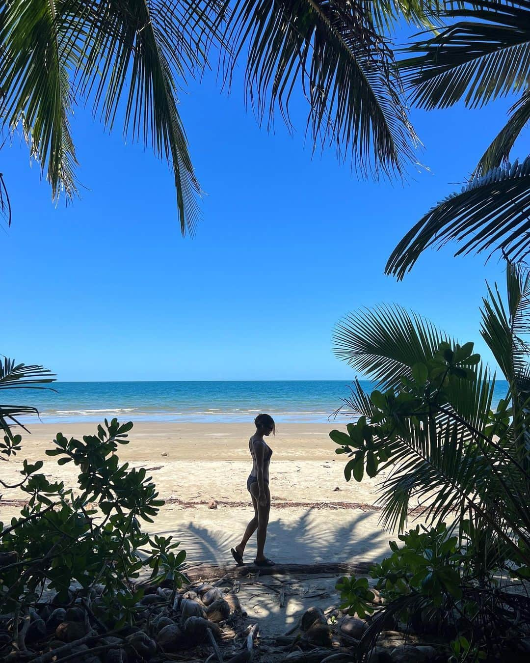 りおなのインスタグラム：「. Tropical in frame 🌴 . . . . . #4milebeach #portdouglas #cairns」