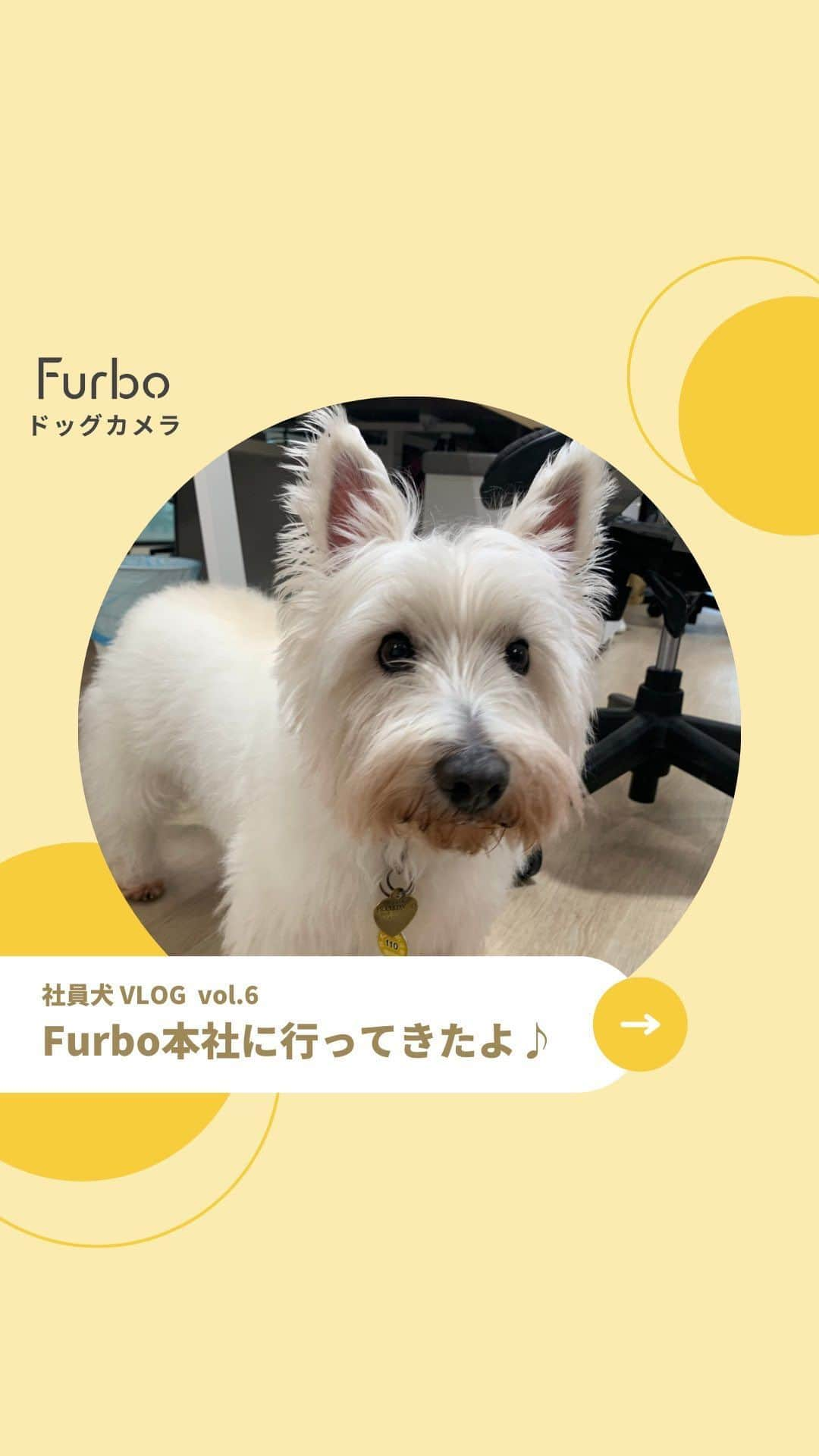 Furbo ドッグカメラのインスタグラム