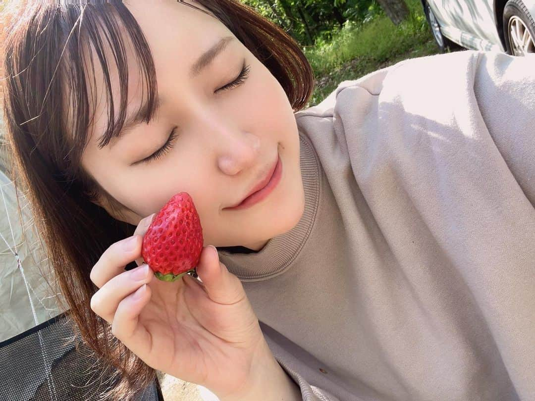 西澤瑠莉奈さんのインスタグラム写真 - (西澤瑠莉奈Instagram)「． ． ゴールデンウィークはキャンプ行ってきたよ〜！ ． 昼間はめっちゃ天気よくてアチアチでした🫠 なんで外で飲むお酒はあんなに美味しいんだ…？🥺 真っ暗で肌寒い中での焚き火は至高…ずっと見てられる🔥 ． ５枚目の写真はマシュマロ焦がして悲しんでるとこ🥹 ． メタセコイヤ並木のすぐ近くにあるお店で買ったいちごが ハリもツヤも凄くてお値段以上すぎて最高🍓 ． 住むなら絶対都会派やったのに 田舎に住むのも素敵だなと思いはじめました😂 ． ． #キャンプ #滋賀 #琵琶湖 #滋賀キャンプ場  #メタセコイヤ並木 #琵琶湖里山オートキャンプ場 ．」5月10日 19時29分 - rurina_nishizawa