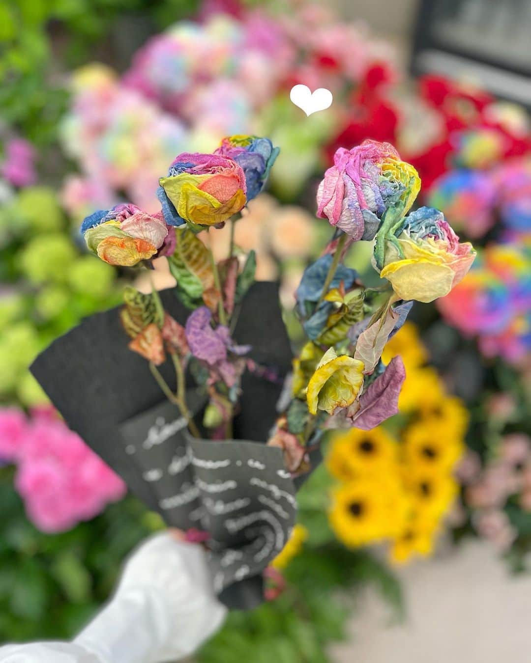 海江田麻貴さんのインスタグラム写真 - (海江田麻貴Instagram)「ㅤㅤㅤㅤㅤ  ㅤㅤㅤㅤㅤ 奈良テレビ『ゆうドキッ！』水曜 「ドキッとLIVE」のコーナーにて  ㅤㅤㅤㅤㅤ ゆうドキッ！スタジオセットのお花を担当して頂いている、 大和郡山市筒井町『華の館 ブルーミスト さわべ』さんを ご紹介しました💐 ㅤㅤㅤㅤㅤㅤㅤㅤㅤㅤ ㅤㅤㅤㅤㅤ #母の日 にぴったりの色とりどりのお花をたくさんご紹介頂き、 澤辺さんのお花やお店、ゆうドキセットへの想いをお伺いして 終始感激でした🥹🌹✨  ㅤㅤㅤㅤㅤ #レインボーカーネーション の花言葉は『感謝』 #レインボーローズ の花言葉は『奇跡』 すてきですよね〜！🌈💓  ㅤㅤㅤㅤㅤ カラフルなカーネーション、薔薇、ひまわりに加えて これからの季節人気の #紫陽花 も色んな種類がありました💠  ㅤㅤㅤㅤㅤ 胡蝶蘭と苔玉のオリジナルギフトも 和と洋のコラボレーションがとっても素敵でした🎍🌷 澤辺さんご家族の皆さま、ロケ有難うございました🥰  ㅤㅤㅤㅤㅤ お母さんに感謝を伝える母の日はぜひ、 『華の館 ブルーミスト さわべ』さんの こだわりのお花をギフトに🌹♥️気になる方はタグ付けして おりますので、アカウントをチェックしてみてください🏷️🩵  ㅤㅤㅤㅤㅤ  ㅤㅤㅤㅤㅤ  ㅤㅤㅤㅤㅤ  ㅤㅤㅤㅤㅤ  #母の日 #母の日プレゼント #母の日ギフト #mothersday #happymothersday #花のある暮らし #花のある生活 #花のある風景 #花のあるくらし #flowerlovers #flowerlover #japanesegirl #日本女孩 #奈良テレビ #ゆうドキッ #生放送 #生中継 #中継リポート #リポーター ㅤㅤㅤㅤㅤ」5月10日 19時24分 - _makiii0924_