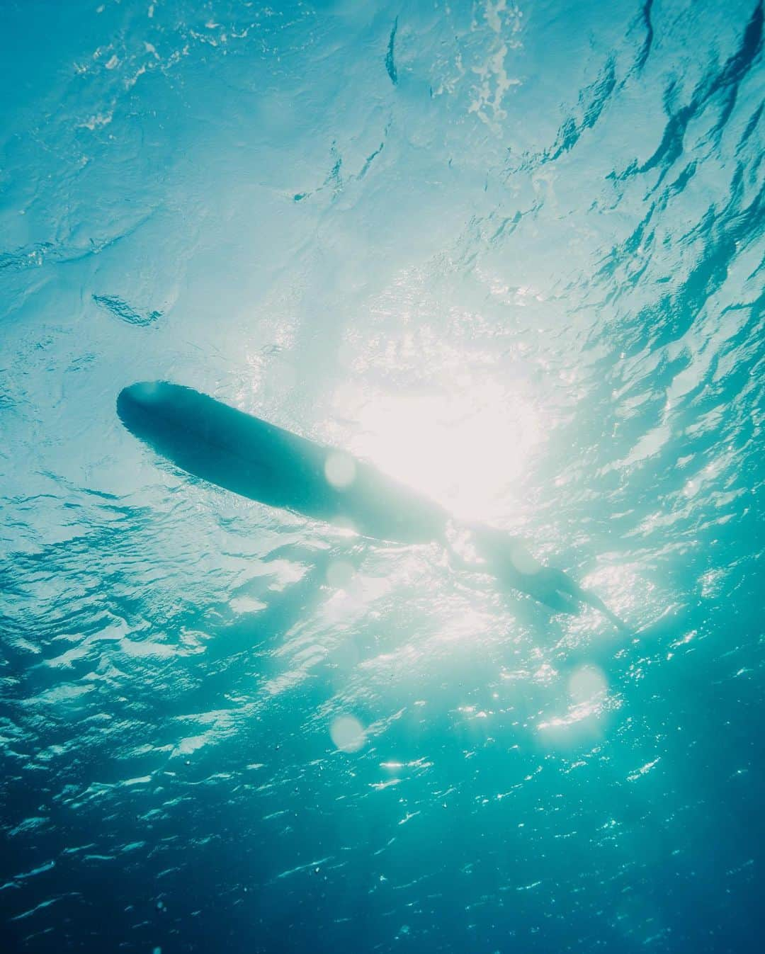 Alex Strohlのインスタグラム：「From a dreamy morning in the water with @cravegreens. The first shot took a lot of work for me since I had to dive 15-20ft down, turn around, and remain somewhat steady to shoot that frame. I wanted to show how the soft afternoon light feels under the water in that shot and it just worked. Sometimes you get lucky..」