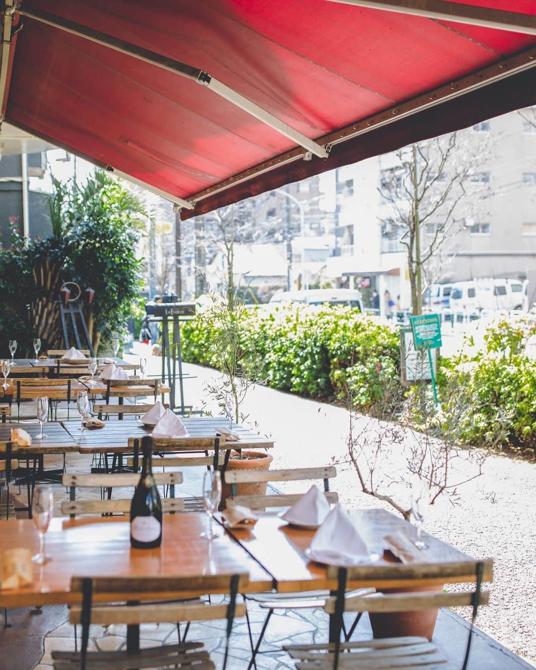 カフェ ラ・ボエムのインスタグラム：「世田谷のカフェラボエムのテラス席はワンちゃんとのお食事もOK！ぜひ大切なご家族とのお食事をお楽しみください 🍝🍷⁠ Enjoy some fresh air outdoor dining at Setagaya Cafe La Boheme. 🍃⁠ ⁠」