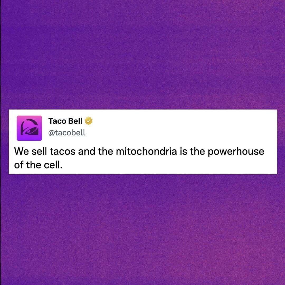 Taco Bellさんのインスタグラム写真 - (Taco BellInstagram)「the more you know」5月11日 5時16分 - tacobell