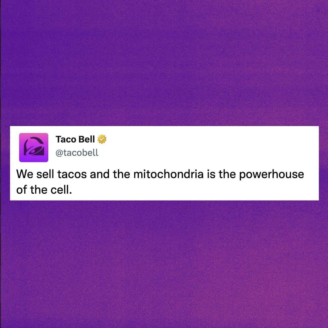 Taco Bellのインスタグラム：「the more you know」