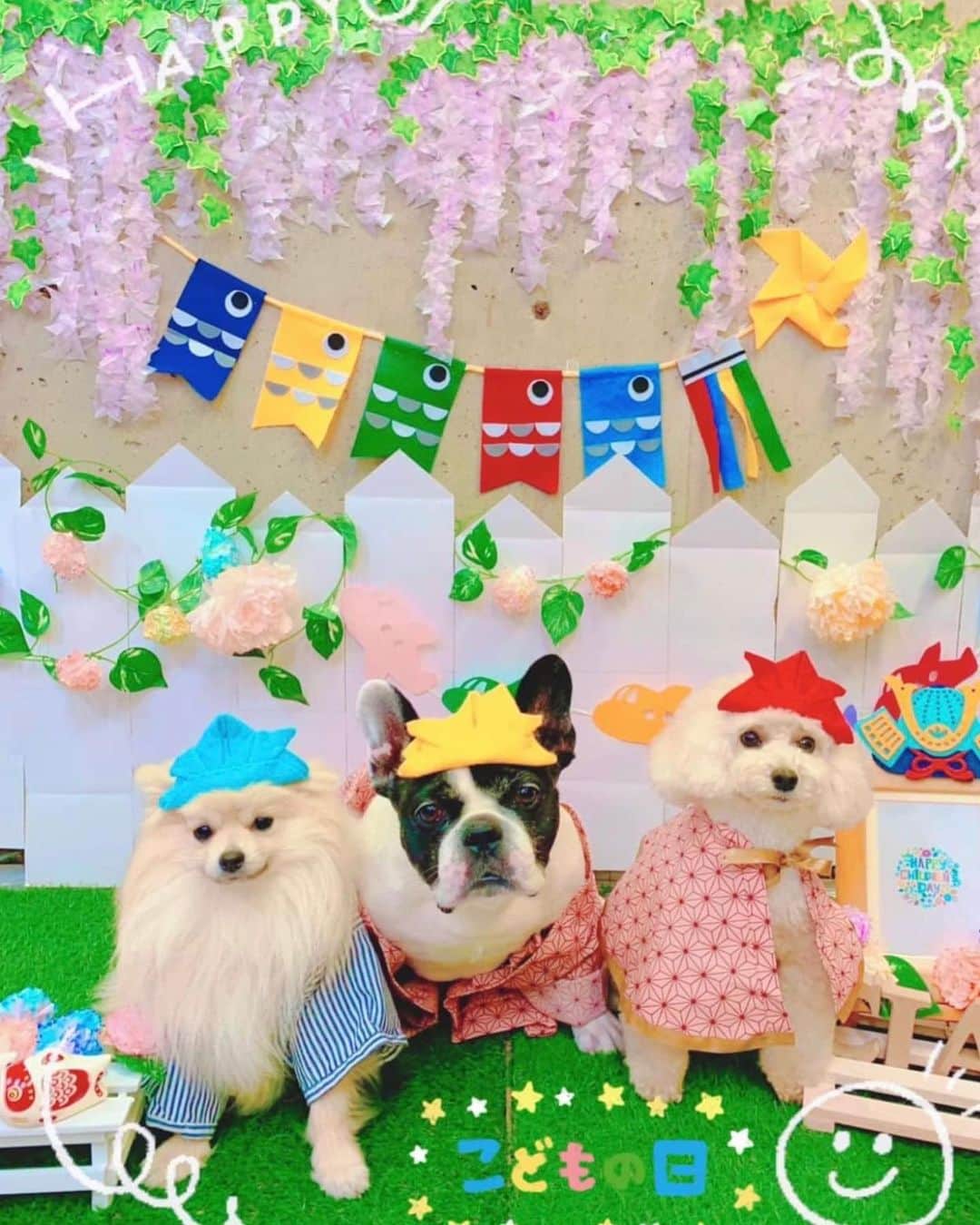 安藤優子さんのインスタグラム写真 - (安藤優子Instagram)「あーおどろいた！のリンです。 みなさん、おはよーです。 リンです ...