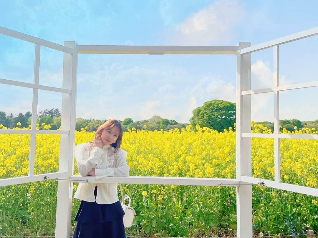 高垣かれんのインスタグラム：「・ 菜の花満開〜💛 チューリップも見頃は過ぎてたけど綺麗〜🌷 . . #国営昭和記念公園 #チューリップ畑 #チューリップ #菜の花畑 #菜の花 #被写体モデル  #モデル #レースクイーン#japanesegirl #セルフネイル#japanesemodel #时装 #오오티디 #대일리룩 #얼짱 #셀피 #漂亮」