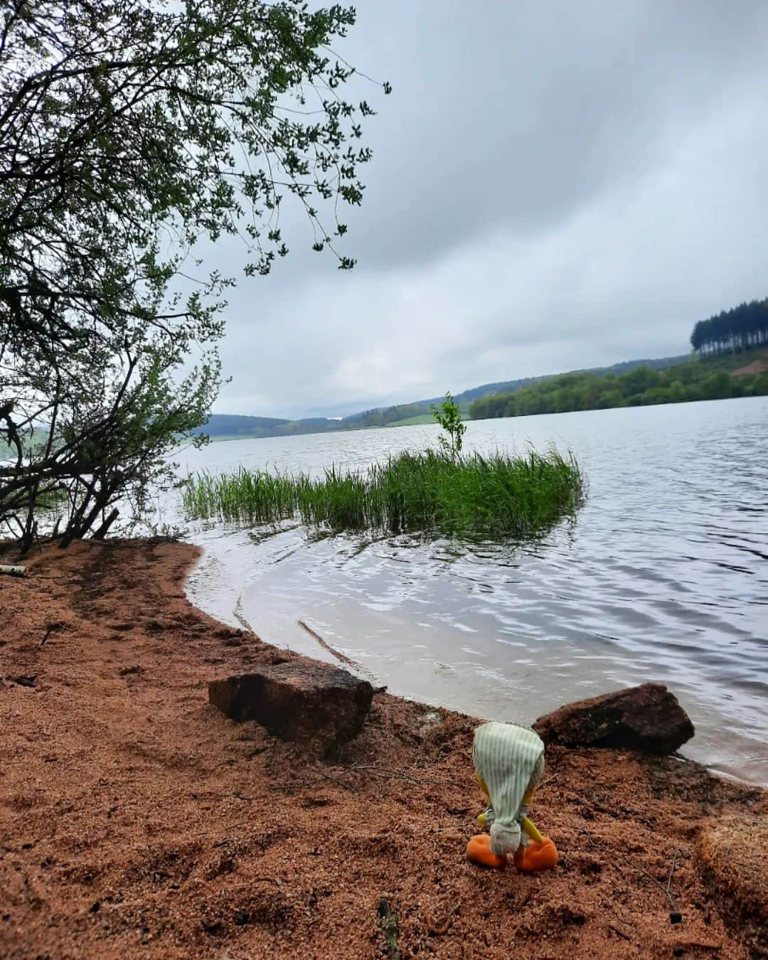 Little Yellow Birdさんのインスタグラム写真 - (Little Yellow BirdInstagram)「Another beautiful hike! #littleyellowbird #tweety #tweetykweelapis #adventures #yellow #bird #holidays #vakantie #france #frankrijk #morvan #walking #hiking #wandelen #stuffedanimalsofinstagram #plushiesofinstagram」5月10日 22時49分 - tweetykweelapis