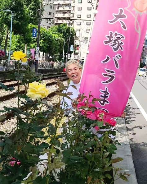 神取忍さんのインスタグラム写真 - (神取忍Instagram)「豊島区南大塚のプロレスバンク(道場)の前は都電が走っているのですが、 その脇がバラロードとして、 『春の大塚バラまつり』で薔薇が 咲き誇ってます(^^) 桜の次は薔薇です!! 23区で随一品種なので、 色々は薔薇と都電のコラボは なかなか楽しめますよ!! この時期は撮影者が多いです、 ついつい撮影したくなりますね!! 皆さんも遊びに来て下さーい(^^) #豊島区 #南大塚 #プロレスバンク #大塚バラ祭り  #薔薇  #撮影  #プロレス #神取忍」5月10日 23時00分 - shinobukandori