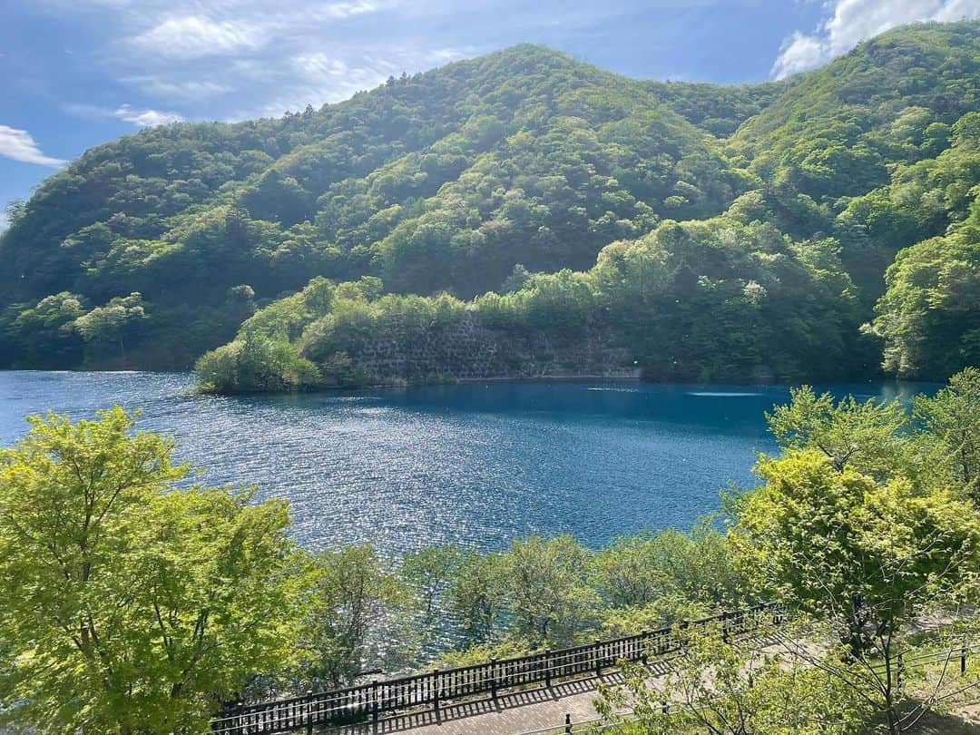 舘野将平さんのインスタグラム写真 - (舘野将平Instagram)「thanks for everything🦈🌳  #nature#自然#湖 #20230510 #全てに感謝 #癒し #自然と愛」5月10日 23時11分 - shohei_tateno_921