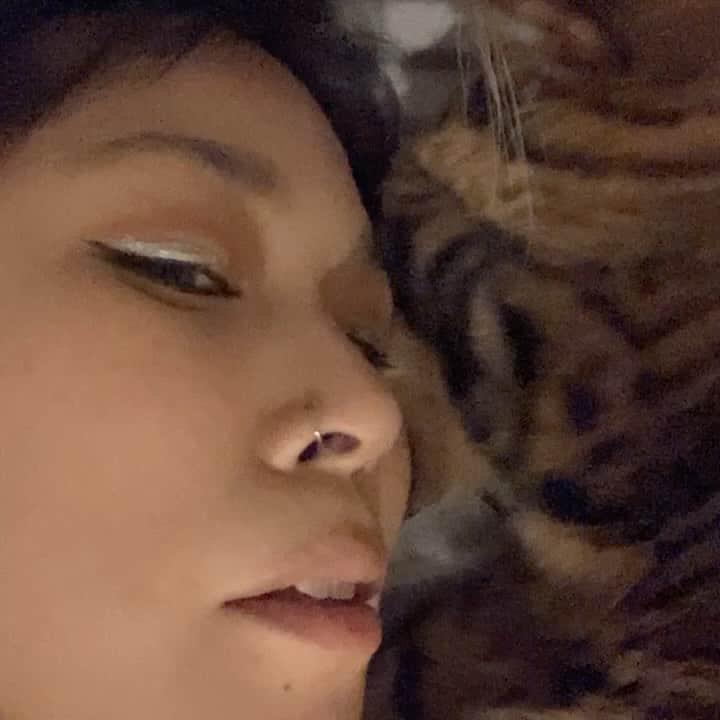 AIのインスタグラム：「Goooood night😺」