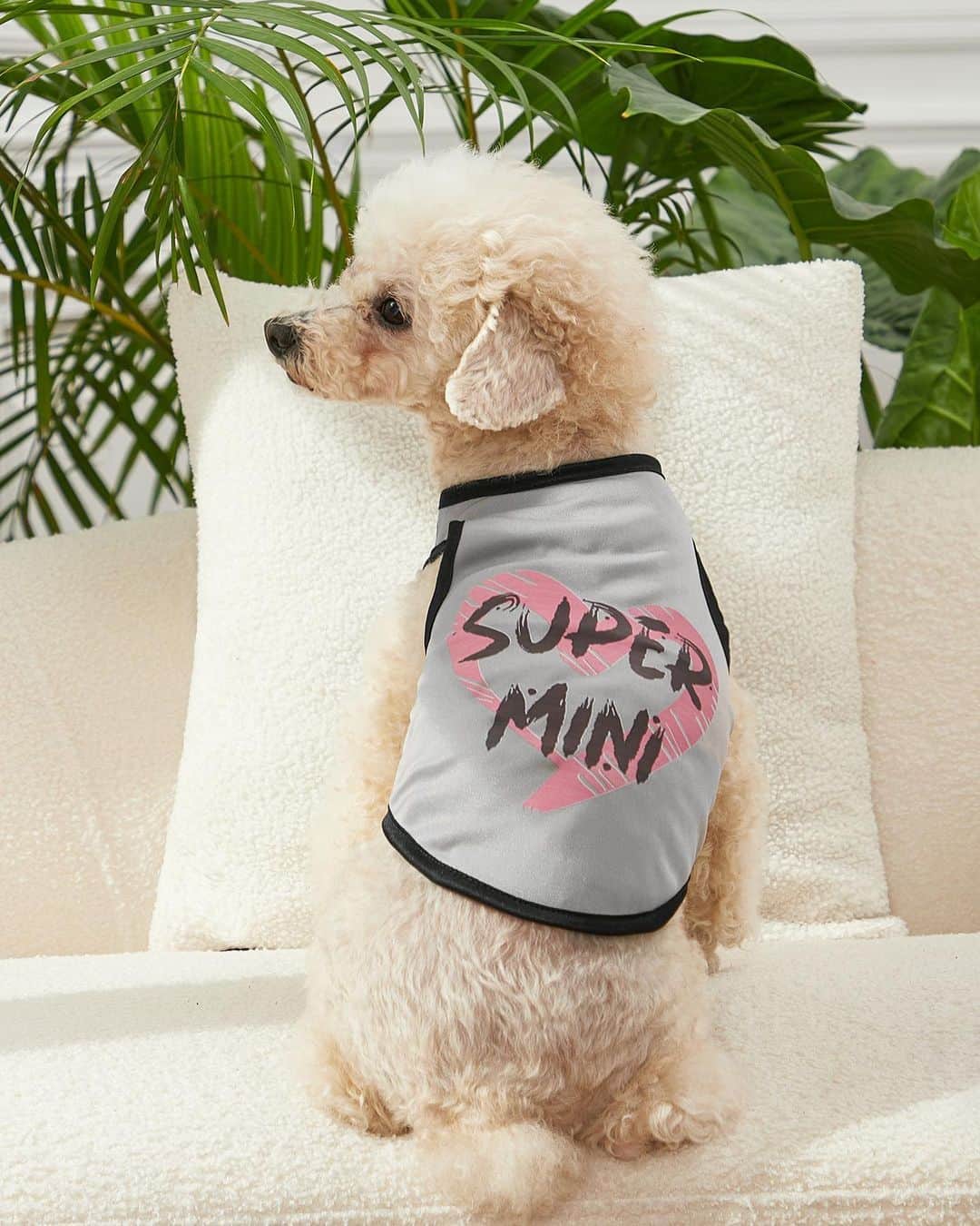SHEINさんのインスタグラム写真 - (SHEINInstagram)「Ready for your Mother's Day trip? Pack them a paw-some wardrobe to make the vacay un-fur-gettable 🐾💕 @petsinofficial   🔗:https://shein.shop/a09cloq  #MakeHerDay」5月10日 23時12分 - sheinofficial