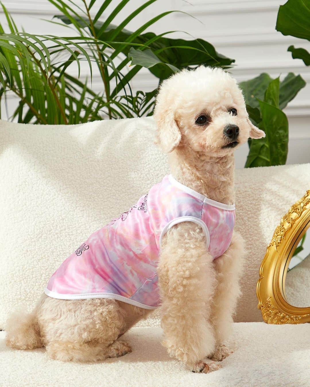 SHEINのインスタグラム：「Ready for your Mother's Day trip? Pack them a paw-some wardrobe to make the vacay un-fur-gettable 🐾💕 @petsinofficial   🔗:https://shein.shop/a09cloq  #MakeHerDay」