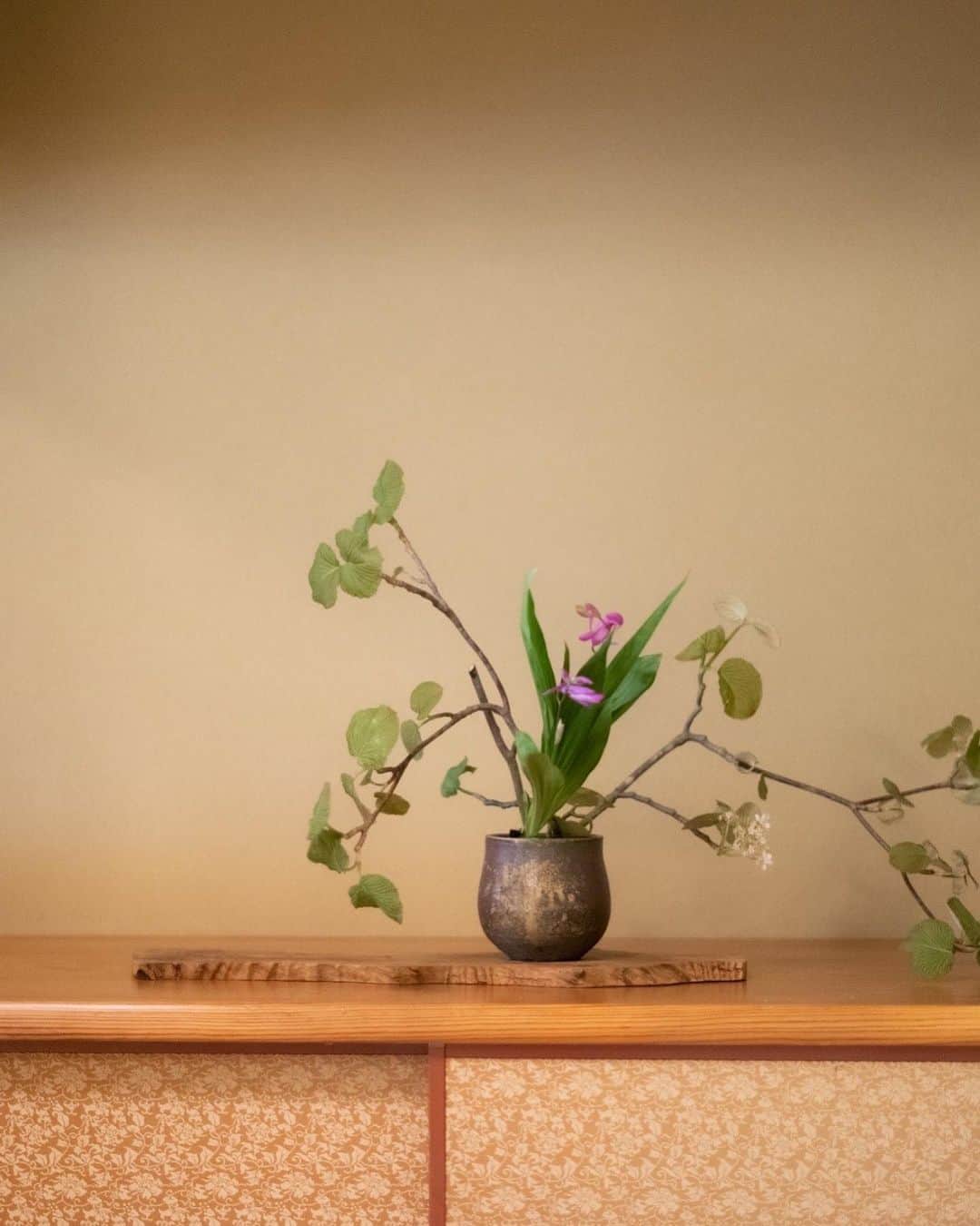 eclat.magazineさんのインスタグラム写真 - (eclat.magazineInstagram)「緑と光が美しい季節。  陰翳礼讃と言いますが、 茶室の光の捉え方は 日本人の美意識の結集のような 気がします。  キラキラ光るテラスも好きですが、 心静かに繊細な光を感じられる 小間の茶室は歳を重ねるほどに その新たな魅力を発見します。  新宿御苑 楽羽亭で開かれた お茶会にて。  #エクラ #新宿御苑 #茶室 #柄澤さんのお写真」5月10日 23時14分 - eclat.magazine