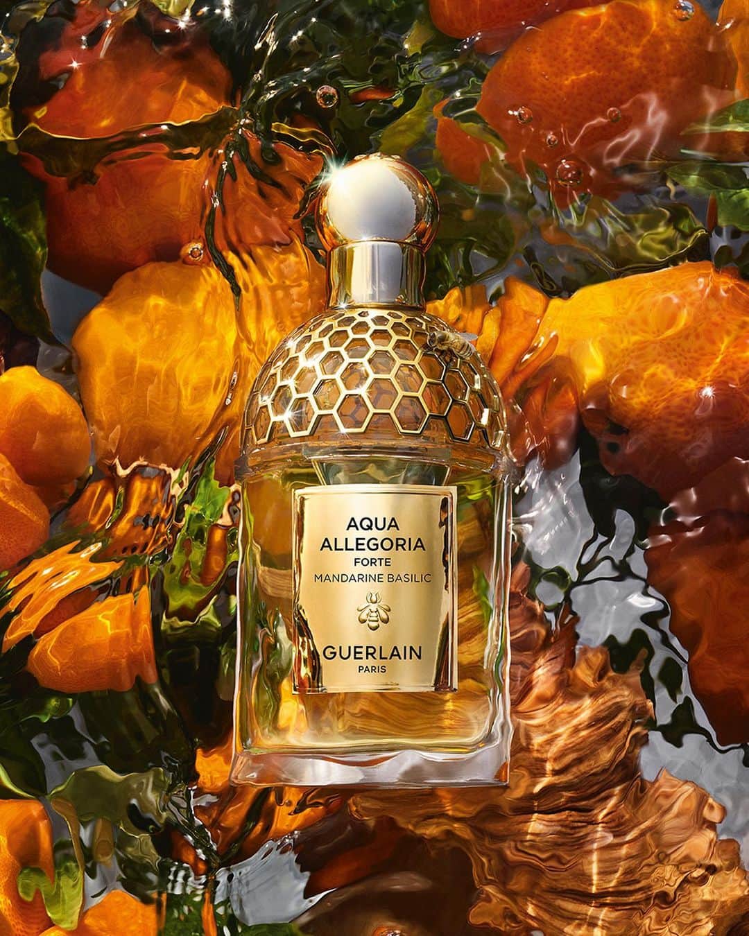 ゲランのインスタグラム：「Aqua Allegoria Forte: a new celebration of nature, now more intense than ever before. Richer, stronger, as though illuminated with the setting sun, discover a new trio of deliciously bold fragrances: Rosa Rossa Forte, a velvety, scarlet rose, a Mandarine Basilic Forte, a deliciously sweet caramelised mandarine, and Nerolia Vetiver Forte, an intensely voluptuous Italian neroli.  #Guerlain #GuerlainParfumeur #AquaAllegoria」