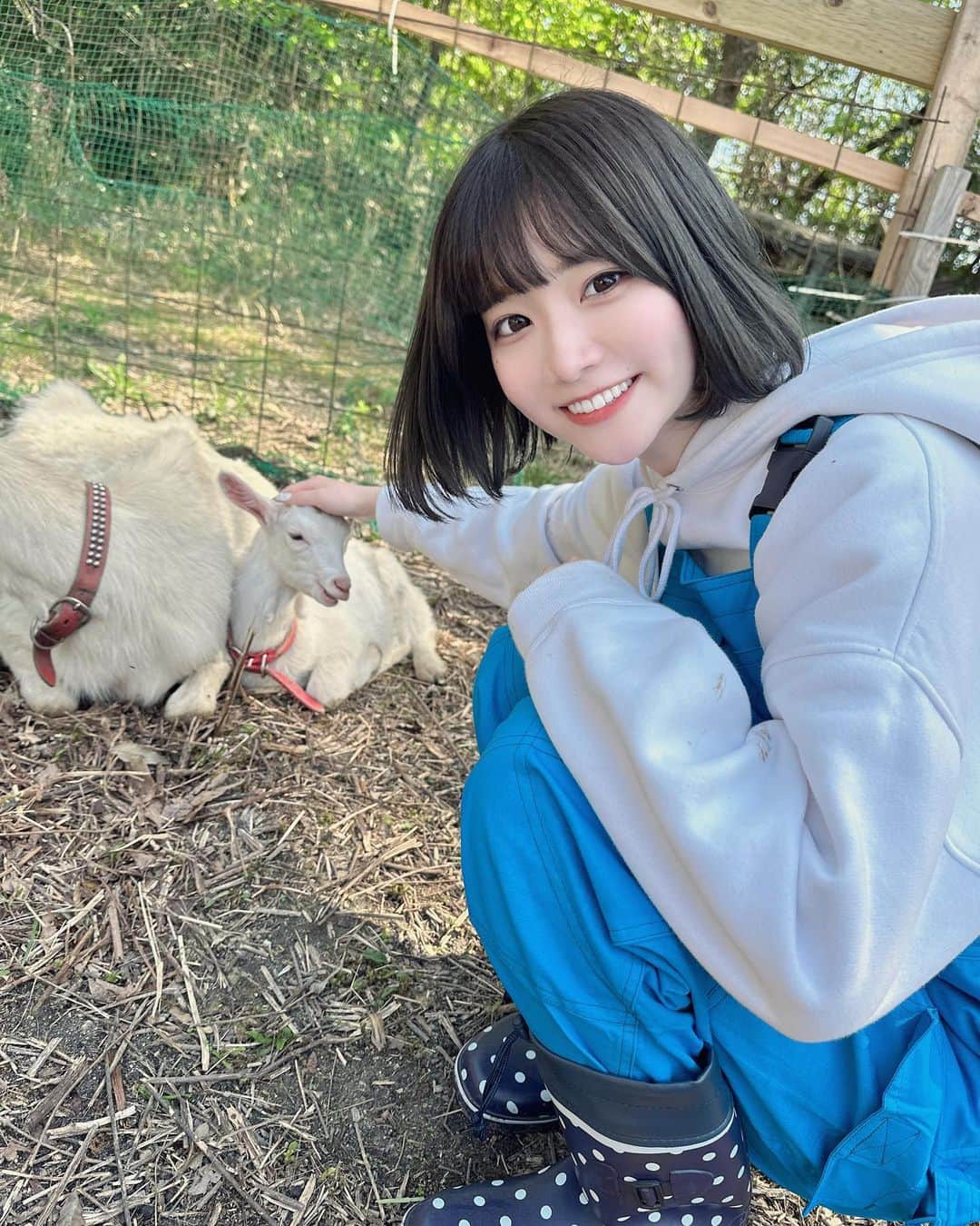 牧乃めいのインスタグラム：「ヤギの日🐐  #粉我 #japaneseidol #idol #被写体 #被写体モデル  #被写体になります #ファインダー越しの私の世界 #撮影会 #アイドル  #自撮り界隈 #selfie #lfl #サブカル #likeforlike #いいね返しは絶対 #いいね返し #インナーカラー #model #地下アイドル #水色担当 #ootd #おしゃれさんと繋がりたい #ゴテゴテネイル  #ボブ #ミニボブ #좋아요 #맞팔 #ストリートファッション #ぼちぼちファーム」