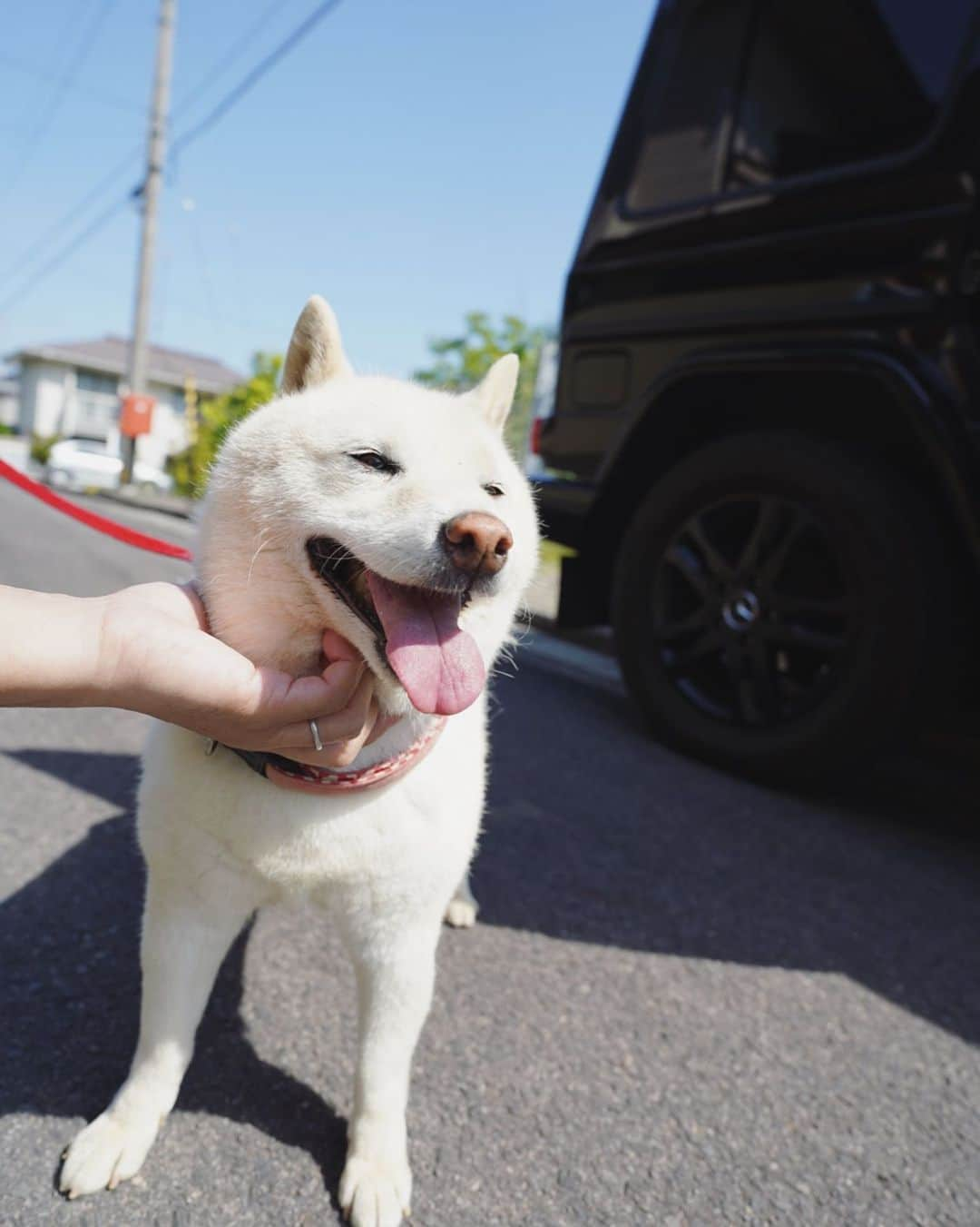 石川龍のインスタグラム