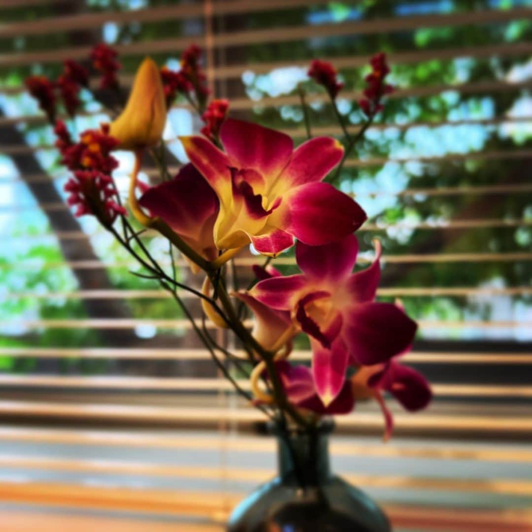 tetsuyaのインスタグラム：「#stellabloom」