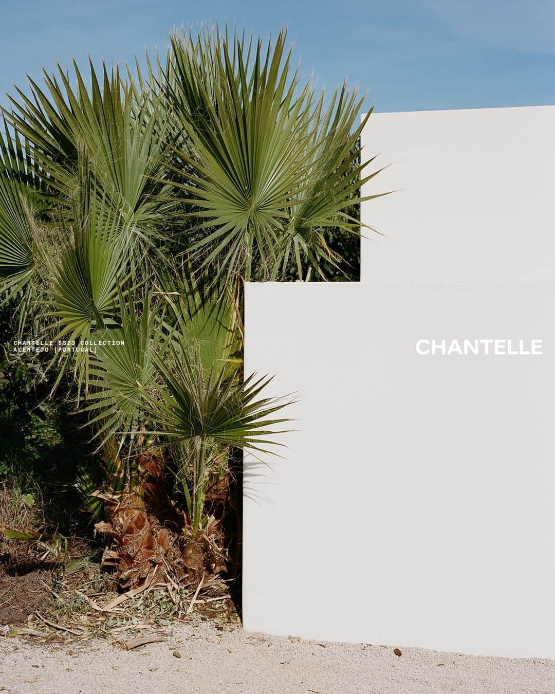 シャンテルさんのインスタグラム写真 - (シャンテルInstagram)「GLOW. Crafted in Italian jacquard, the new line "Glow" offers sophistication and elegance with its feminine shapes, and an artfully placed golden piece.  Get yours on Chantelle.com  #ChantelleParis #ChantelleSS23 #ChantelleGlow #ShadesOfSummer」5月11日 1時00分 - chantelle_paris