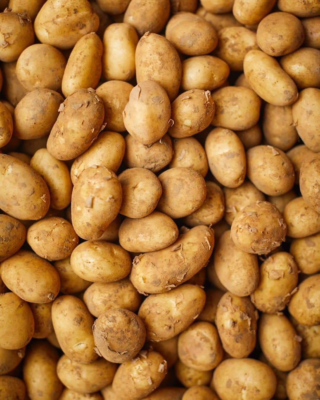 ジェイミー・オリヴァーのインスタグラム：「One of my favourite things about May is that new potatoes and in particular @jerseyroyals are bang in season oh yes!! And we all love a good potato salad! Plus to can also add them to tarts, frittatas, roast them up in all sorts of ways 👉👉👉 just delicious!! All these recipes and more completely for free on my website link in my bio let me know your favourite way to cook up new potatoes this time of year  #inseasonnow #newpotatoes #potatosalad」