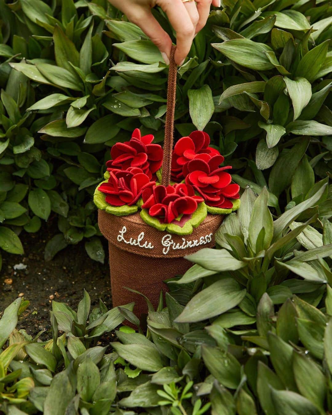 ルルギネスさんのインスタグラム写真 - (ルルギネスInstagram)「Forever in bloom with our Geranium Flower Pot!  #LuluGuinness」5月11日 1時37分 - lulu_guinness