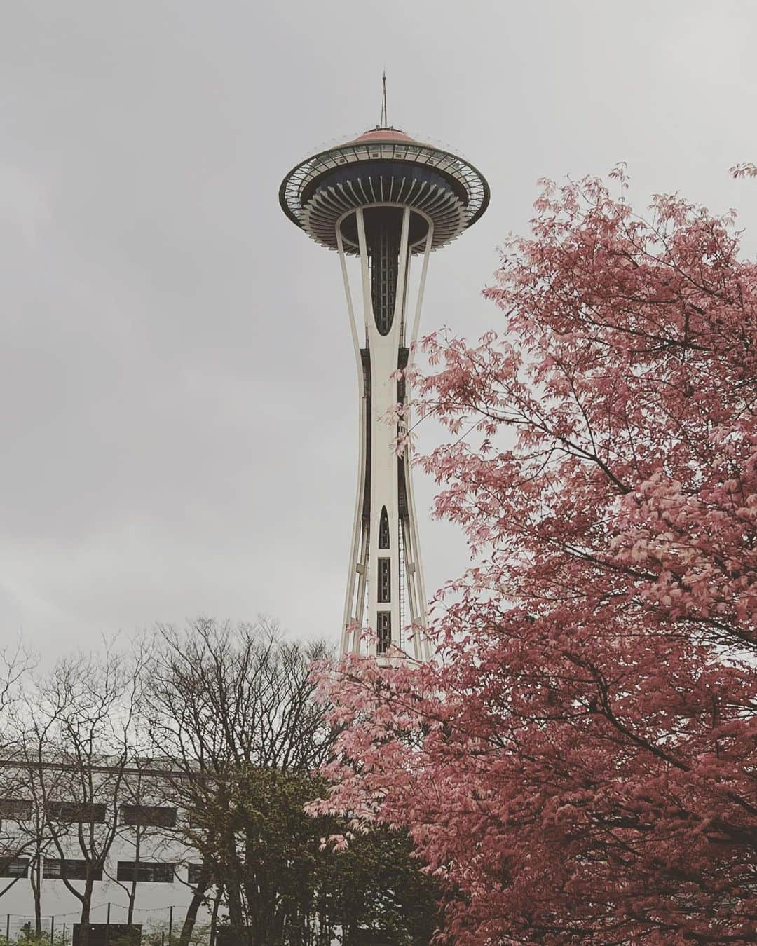 マックス・セットレージさんのインスタグラム写真 - (マックス・セットレージInstagram)「went back to seattle a few weeks ago. saw some boys, saw some puppets.」5月11日 2時37分 - max_settlage