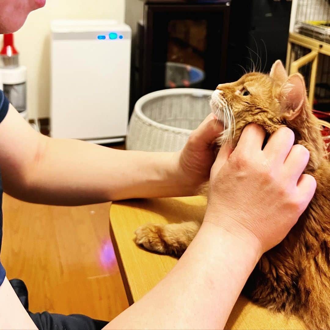 Nahoのインスタグラム