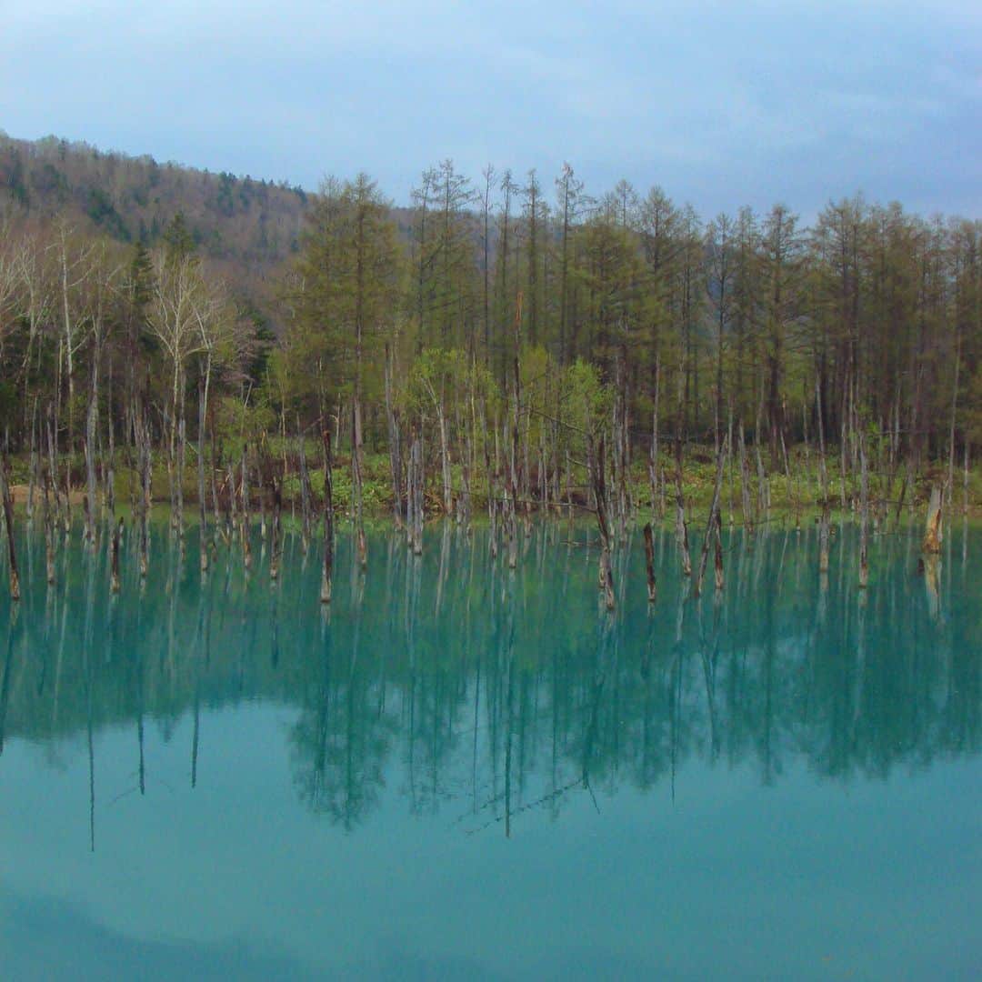 横田ひかるさんのインスタグラム写真 - (横田ひかるInstagram)「北海道~🐄🍦🏔️🌤️  美味しい空気、美味しい食べ物 最高でした~。深呼吸たくさんした  ☑︎洞爺湖 ☑︎レークヒル・ファーム ☑︎青い池 ☑︎富良野  #北海道 #札幌」5月11日 14時29分 - _rncn950805