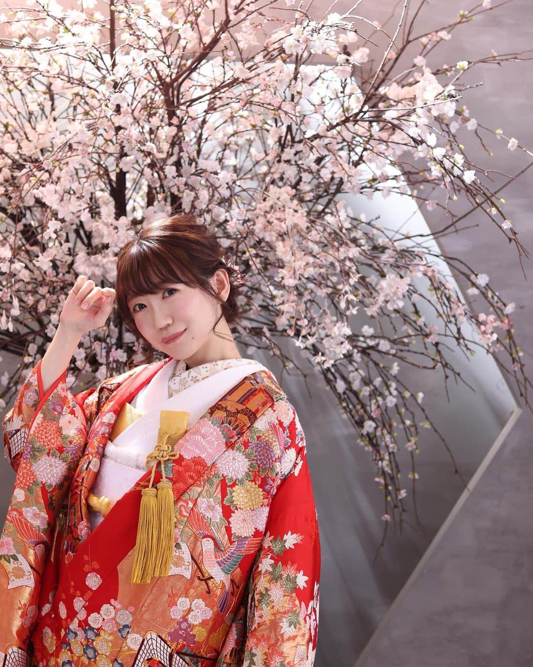 マコ・プリンシパルのインスタグラム：「My bridal dress👰‍♀️ This is a traditional Japanese “Irouchikake”🎎🌸  🌸🌸🌸🌸🌸🌸🌸🌸  本当は今年の春に結婚式をする予定だったのだけど、妊娠がわかり急遽前撮りだけ先に行いました♡  今まで色々な洋装の衣装を着てきたから、和装をチョイス。 式では白無垢を着る予定なので、撮影は色打掛けに。  色打掛けの赤色は、生命や太陽を象徴する神聖な色で魔除けの力があって☀️ 血液の色であることから、嫁ぎ先の色に染まる意味合いも持ってるんだって。  本当は色打掛けの後は、「嫁ぎ先での生まれ変わり」を意味してるから、白無垢を着れないルールらしいのだけど、、 そこは何度でも生まれ変わるフェニックス風に独自のルールで🔥🐣💕  あんみつ姫みたいで大満足なのでした👸♡  #花嫁衣装 #前撮り #プレ花嫁 #和装 #和装前撮り #色打掛け #フォトウェディング #bridal #bridalmakeup #weddingphotography #weddingphoto #irouchikake #kimono #kimonostyle #kimonofashion #tokyo」