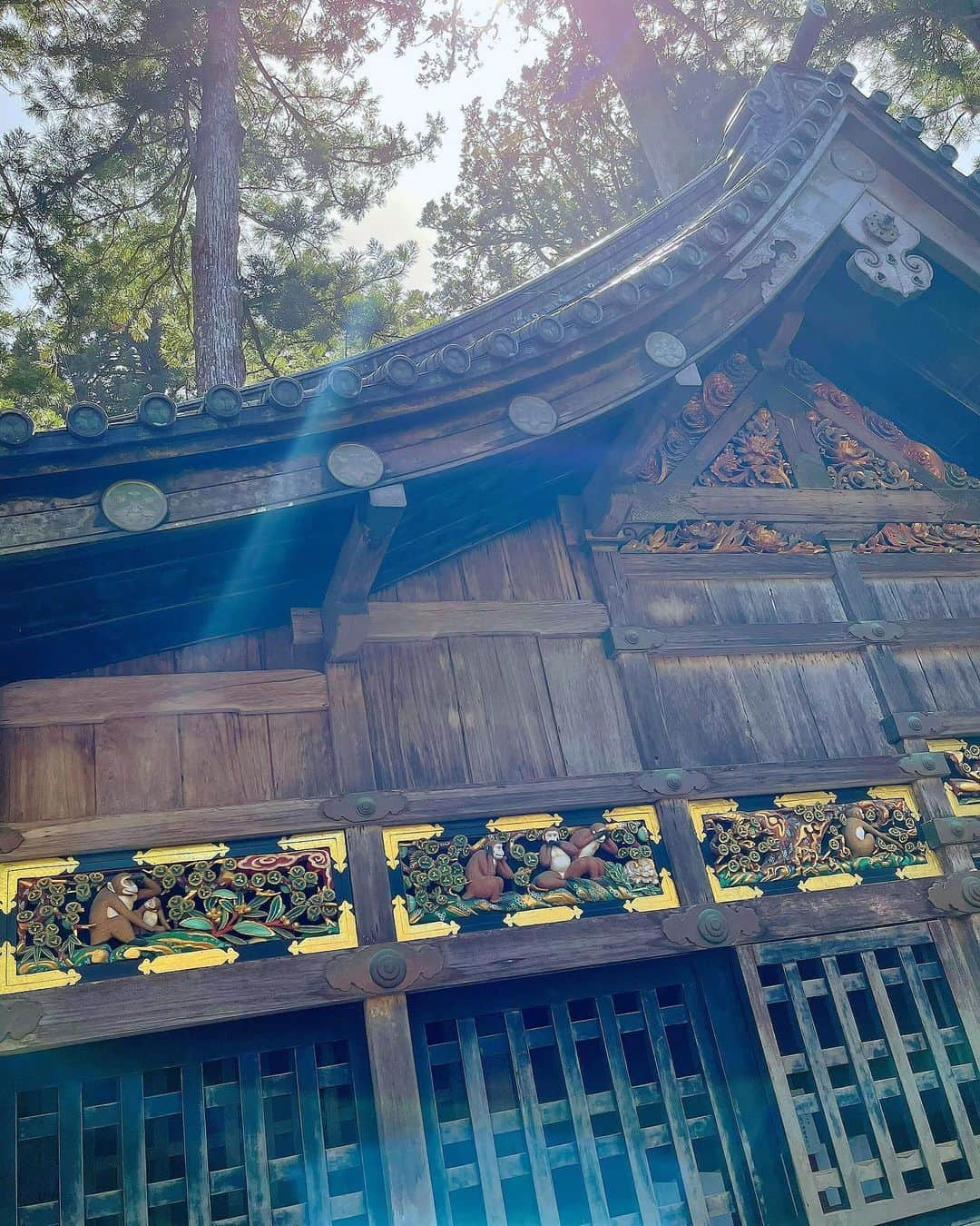 百合華さんのインスタグラム写真 - (百合華Instagram)「栃木県日光市にある世界遺産『日光東照宮』にて参拝タイム②🙏💕  #世界遺産日光東照宮  とっても有名な三猿さんの彫刻に出逢えただけでなく偶然おられたツアーガイドのおじ様から神厩舎に施された彫刻の意味や由来を詳しく御説明いただき合計１６匹のお猿さん達から人生においての大切な奥義を学ぶ事が出来ました🙈🙊🙉  #日光東照宮神厩舎  #見ざる言わざる聞かざる   #世界遺産を学んで平和を願う 🕊  『見ざる・言わざる・聞かざる』の三猿の教えとは物心のつく幼少期には悪いことを見たり言ったり聞いたりしないで良いものだけを受け入れ素直な心のまま成長せよという教えが暗示されているとの事です✨✨✨  #三猿の教えってすごく身に染みる   徳川家康公の墓所のお隣には樹齢約600年のとっても神々しい御神木『叶杉』があり小さな祠に向かい日頃の感謝の気持ち＆大切な皆様方の健康と御多幸をお祈りいたしました💖  #奥宮 #宝塔 #叶杉 #パワースポット   #結界に入った瞬間の空気が変わる瞬間が好き   #諸々の願い事をこの杉の祠に向かって唱えると願い事が叶うと伝えられている  #japan #日本 #栃木県 #日光 #日光市 #日光東照宮 #世界遺産の旅  #worldheritage  #世界遺産を訪ねて  #神々しい空間に感動 #龍神様からのプレゼント  #黒龍神様に逢える場所 #叶杉に願いを込めて  #徳川家康公墓所  #徳川家康の墓  #徳川家康公 #徳川家康 #人生観 #三猿」5月11日 15時43分 - yurika.lovelily