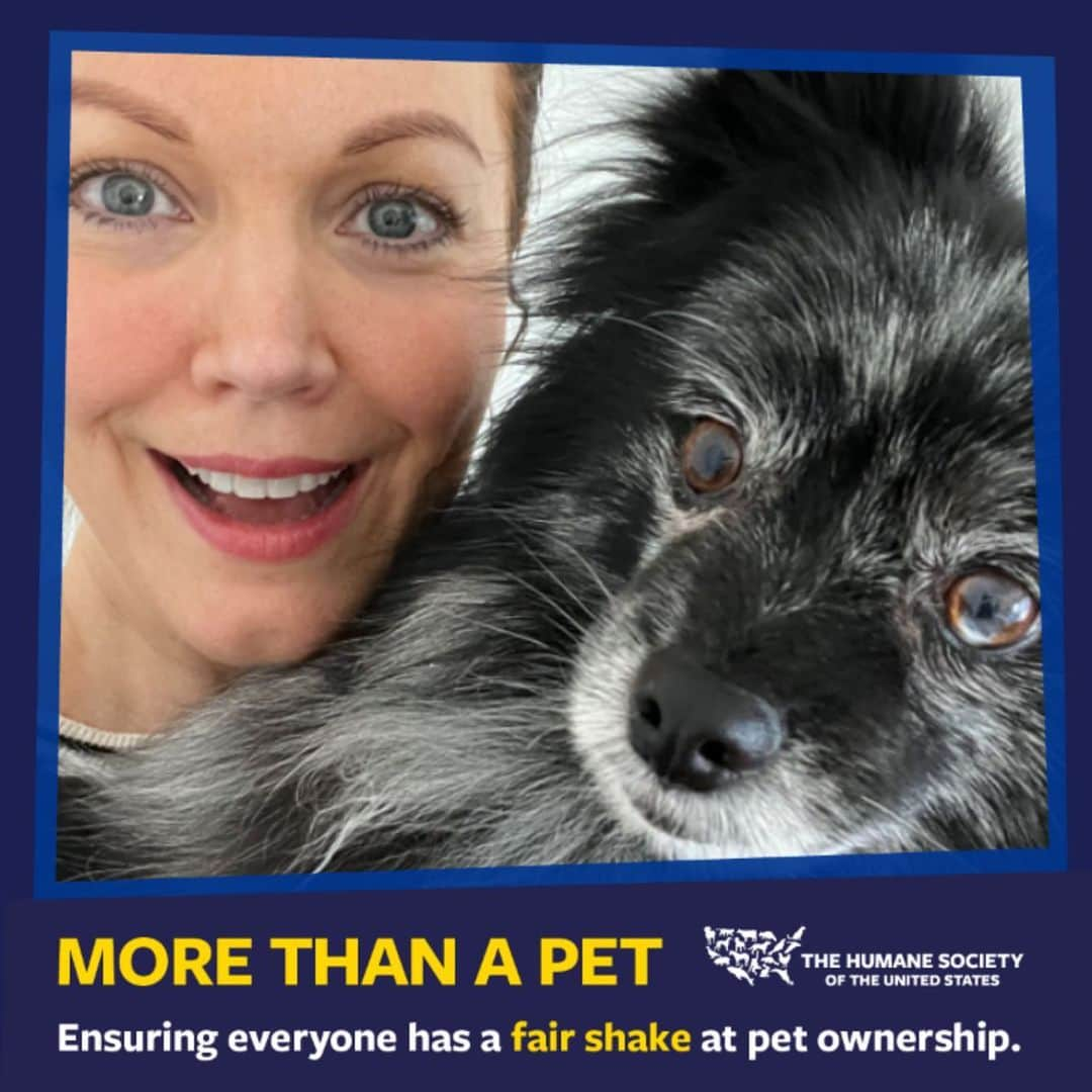 ベラミー・ヤングさんのインスタグラム写真 - (ベラミー・ヤングInstagram)「Poverty & structural inequality create barriers to accessing healthy food, education, health care, jobs, & housing. Pet resources are no different.  Millions of loving pet owners can't access the veterinary services & resources they need to provide for their animals.  YOU CAN HELP this week by just posting a pic of you & your sweet #FurBaby! 🥰 For every pic you post at the link below, a bowl of food gets donated to a pet in need.  Join me and the & @humanesociety to add your photo & share your story.  I feel so lucky to get to care for & love my critters- let's try to make it a little easier for other folks to care for & love theirs too.  https://morethanapet.humanesociety.org  ❤️ #HumaneSociety ❤️ #MoreThanAPet ❤️ #PassItOn 🎉」5月11日 6時47分 - bellamyyoung