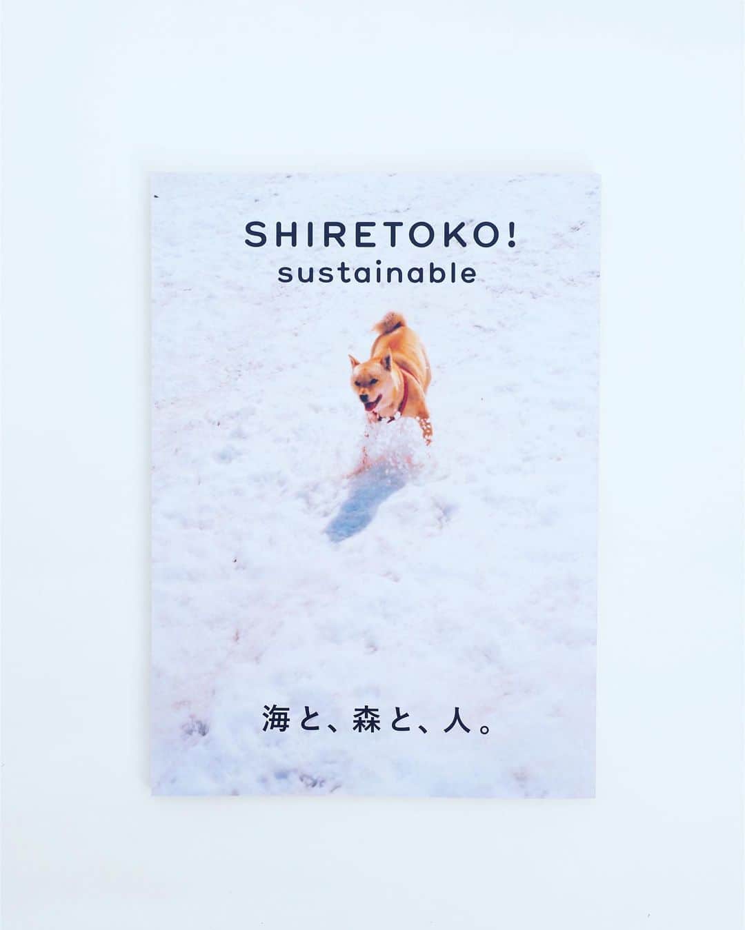 石川直樹さんのインスタグラム写真 - (石川直樹Instagram)「#Shiretoko, #Hokkaido イタリアから帰国しました。5月初めに発表があったのですが、写真集『#知床半島』や#写真ゼロ番地知床 の活動によって、今年度の東川賞・特別作家賞を受賞しました。 選評では、自分では気に入っているけれど持っている人の少ない写真集『SAKHALIN』にも触れていただいたのが嬉しかった。 そして @shashin0banchi_shiretoko に目を留めていただいたのも嬉しかったです。2016年から地元の人たちと続けてきたプロジェクトで、今年でもう7年目になります。鈴木理策さんにはじまり、石川竜一くん、西野壮平くん、吉開菜央さん、三好大輔さんらが#斜里 に滞在し、彼ら彼女らの目を通して、それぞれ全く異なる#知床 の姿が毎年立ち現れてきました。写真は、ゼロ番地が開催される厳冬、2月頃の夜の#流氷 です。 . 7月末から東川町で、受賞記念の写真展やトークイベントなどが行われます。コロナが明けて、ようやくいつもの賑やかな#東川町国際写真フェスティバル を体験できるのではないでしょうか。 知床の皆さん、関わってくださった皆さん、本当にありがとうございました！ . 選評などへのリンクはBioのNews欄かストーリーより。 . 3枚目: 写真集『知床半島』（北海道新聞社/ AD原耕一+七郎） 4.5枚目: 写真集『SAKHALIN』（アマナ/ AD井上嗣也）カバーあり&なし 6枚目: 知床でしか手に入らない冊子『SHIRETOKO! sustainable』vol.6  （一般社団法人知床しゃり/ AD原耕一+七郎）」5月11日 6時57分 - straightree8848