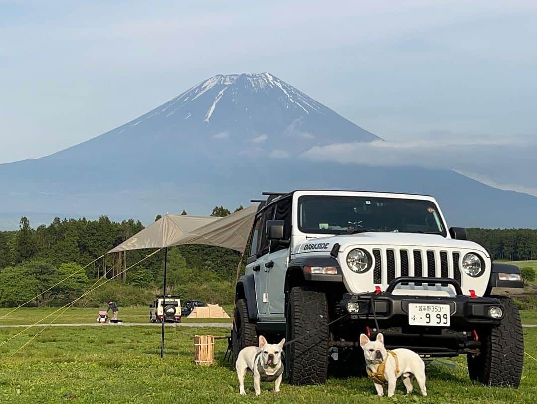 つの丸さんのインスタグラム写真 - (つの丸Instagram)「ピートとロッコを連れキャンプ⛺️ 富士山最高🗻」5月11日 7時07分 - ge_ha_mob