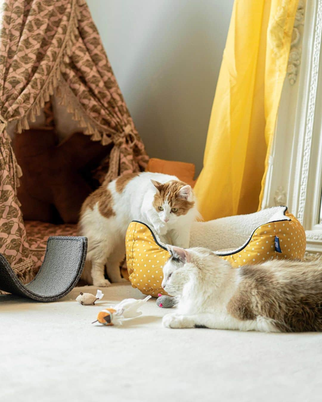 ウェンディー・グエンさんのインスタグラム写真 - (ウェンディー・グエンInstagram)「My first born with my first baby🐱 Our baby and the fur babies get along really well. We're teaching her to respect their space and she likes to share her toys with them. Kinsley has a floor bed, so naturally we got the kitties a @Walmart x Gap yellow floor bed to match 💛She has a climbing ladder, they have climbing toys next to hers 🤣 Happy National Pet Month! 🐾 Linking to pet favorites here - https://liketk.it/48ZhW #walmartpartner #walmartpet @shop.ltk #liketkit」5月11日 7時23分 - wendyslookbook