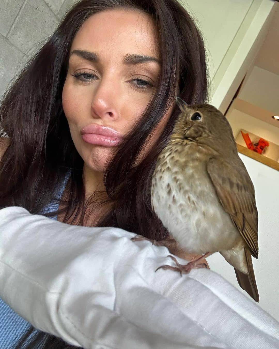 コートニー・ストッデンさんのインスタグラム写真 - (コートニー・ストッデンInstagram)「Nursed birdie back to health after he nearly broke his wing 🪽make sure to use gloves, wrap birdie in soft cloth and move to a safe space indoors — contact animal rescue if birdie doesn’t get better 🙏🏼 #birds #animallovers #rescue」5月11日 7時31分 - courtneyastodden