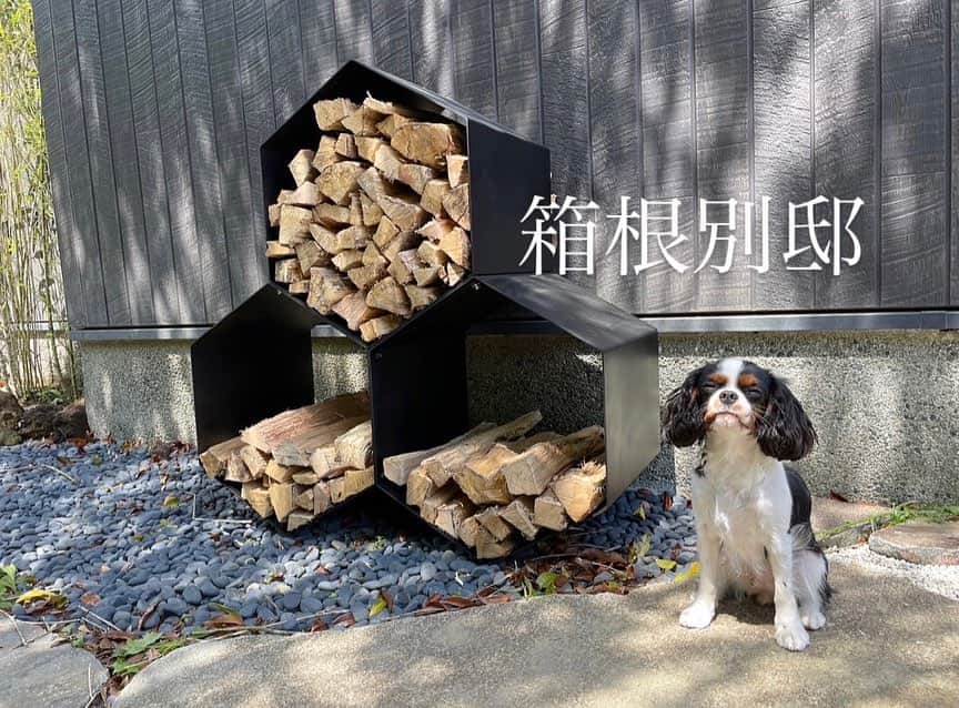 のインスタグラム：「GW後半は箱根のお家へ♨️ 家の横に薪の置き場を作ってもらいました🥰 @greeeen_face   雨が続いていましたが、 最終日は晴天で新緑が素晴らしかったです✨  雨の箱根も風情あり大好きなんですけどね❤️  雨なら雨でお家にこもって 普段なかなか見ない海外ドラマを観たり 犬たちと戯れたり🐶  月に一度1.2泊しか訪れられていませんが、 そんな生活も早2年くらい⁉️  少しずつですが箱根に詳しくなってきていますよ😎  箱根は自然はもちろんのこと、 お洒落なお店や旅館、ホテルなど 本当にたくさんあります。  今年もこちらでリトリートやイベントなど そろそろ企画しないなぁと思っています🌈 　 ※最後の写真は、 箱根のお庭にたくさんある山椒の木を 葉山の家に植えてみようと思い持ち帰り😆  箱根の庭にはたくさんの植物や木々があり、 季節によって目を楽しませてくれます💕  #箱根 #hakone #箱根別邸 #retreat #relax #かまどさん #温泉 #露天風呂 #山椒の木」