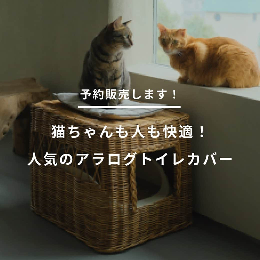 オルネ ド フォイユさんのインスタグラム写真 - (オルネ ド フォイユInstagram)「お知らせ🐾  オルネコ×Encachette アラログトイレカバー の予約販売のお知らせです。  ありがたいことに、前回の再入荷でも あっという間に完売したアラログトイレカバー。 今回はお届けまで少しお時間をいただきますが 多くの方にお届けできるよう、 予約販売を実施させていただきます。  ぜひこの機会にご検討いただければと思います。  ◎予約受付期間 5月12日（金）18:00〜5月31日（水）24:00 ※上限に達し次第、受付を終了いたします。  ◎入荷予定 　1回目の入荷：6月上旬〜中旬頃 　2回目の入荷：9月中旬〜10月上旬頃  ◎ご注意点 ・今回の予約販売は先着順となります。 ・オンラインショップのみの受付です。 ・お問い合わせは、DMやコメントではなく、 オンラインショップのお問い合わせフォームより お願いいたします。  ———————————————  詳細はオンラインショップの商品ページをご確認ください。 👉@ornedefeuilles ※検索画面で「アラログトイレカバー」でチェック🔎  ——————————————— #orneko #オルネコ #オルネコ部 #encachette #アンキャシェット #猫トイレカバー #猫ハウス #猫グッズ #猫アイテム #猫と暮らすインテリア #猫とインテリア #ねこグッズ #猫グッズ #猫とインテリアと私の日常 #インテリア雑貨#ornedefeuilles #オルネドフォイユ」5月11日 9時12分 - ornedefeuilles