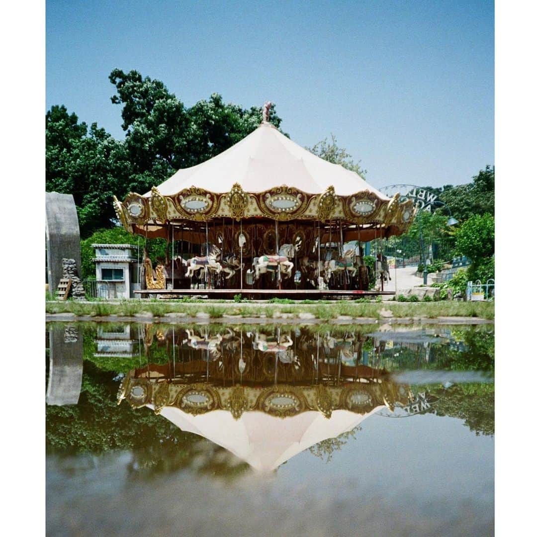 ペ・ジョンナムのインスタグラム：「슬픈 말친구들 🎠🎠🎠🎪🎡🎢🩷🩵🤍 rolleiflex 2.8F Aurum & cx-2 📸🎞️🎞️🎞️ #노보정노필터 #배작가」