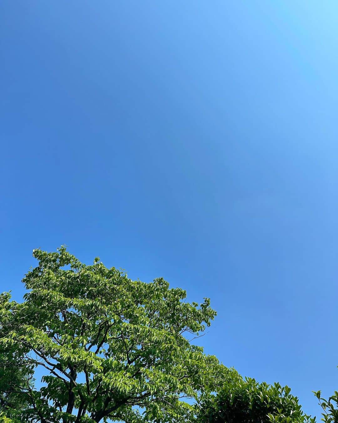 高橋ユウさんのインスタグラム写真 - (高橋ユウInstagram)「#朝ラン #朝ジョグ 🌳🌞 What a beautiful sky & greens👏」5月11日 10時11分 - takahashiyu.official