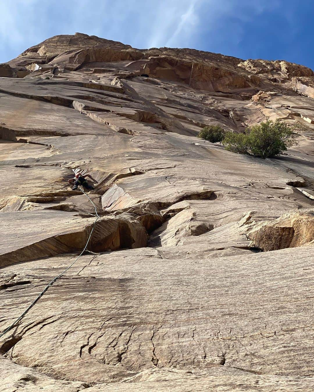 トミー・コールドウェルさんのインスタグラム写真 - (トミー・コールドウェルInstagram)「On our rest days from sport climbing we climb big walls. On our rest days from big walling we sport climb. Our one actual rest day in 9 days we did a 1.5 hr bike ride, hangboard sesh and super heinous lock-off. workout. Honnold boot camp is full on. But surprisingly I feel younger and more energetic than I have since getting injured. If that wasn’t a good test of the Achilles, I don’t know what is! This was a great reminder that I need a extreme amount of movement in my life to feel my best. Thanks @alexhonnold and @sannimccandless. For being the greatest friends anyone could ask for. I can’t wait for a summer of life experiences with you!」5月11日 10時10分 - tommycaldwell