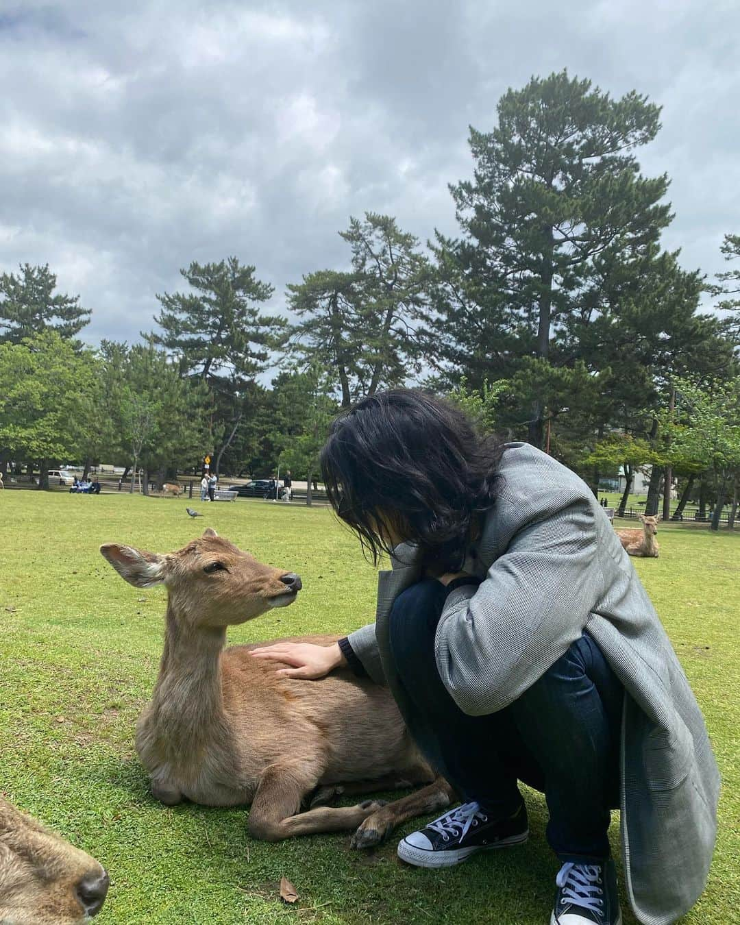 イ・ウォングンさんのインスタグラム写真 - (イ・ウォングンInstagram)「🦌🦌🦌」5月11日 16時01分 - lilyjardin