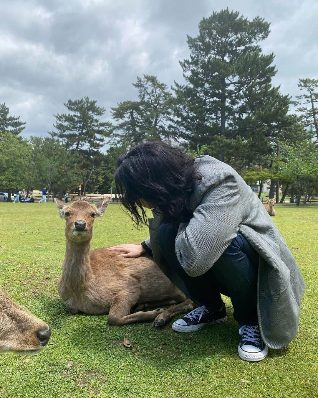 イ・ウォングンさんのインスタグラム写真 - (イ・ウォングンInstagram)「🦌🦌🦌」5月11日 16時01分 - lilyjardin