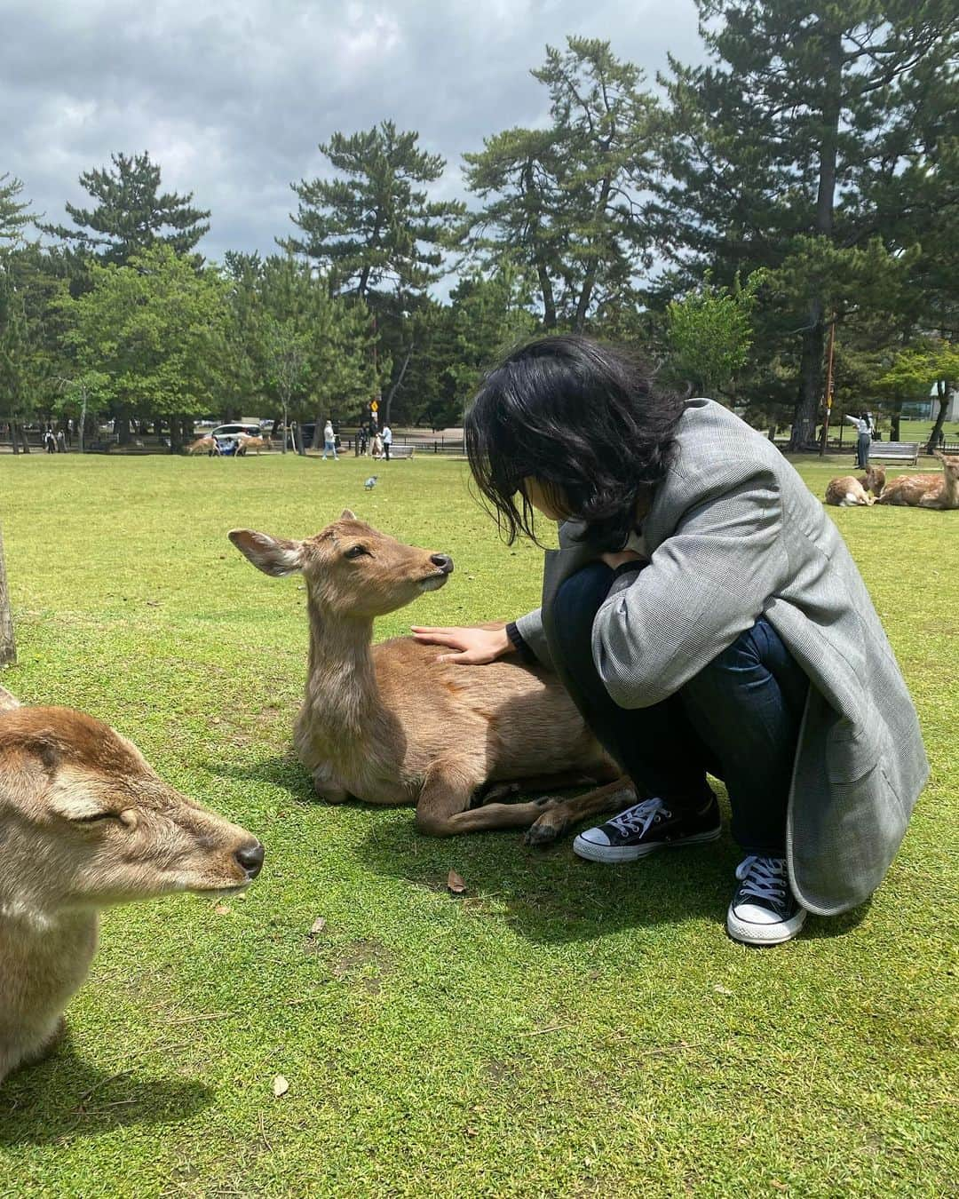 イ・ウォングンさんのインスタグラム写真 - (イ・ウォングンInstagram)「🦌🦌🦌」5月11日 16時01分 - lilyjardin