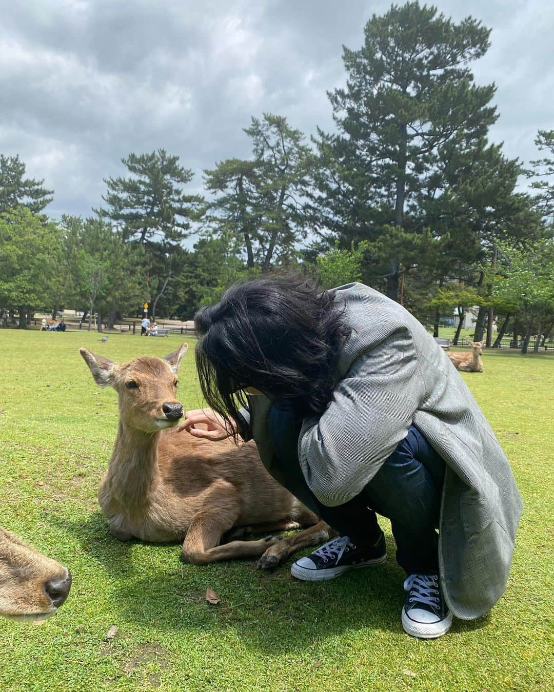 イ・ウォングンさんのインスタグラム写真 - (イ・ウォングンInstagram)「🦌🦌🦌」5月11日 16時01分 - lilyjardin