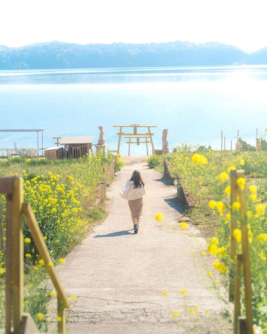 ジェットスター航空さんのインスタグラム写真 - (ジェットスター航空Instagram)「行きたい！と思ったら【いいね❤️】 #jettabi_japan #鹿児島編🍠 九州で一番大きい湖のほとりに建てられた #黄金の鳥居 ⛩  薩摩半島南部の指宿市にある九州最大の湖、池田湖のパワースポット✨ 湖のほとりに建てられた金色に輝く鳥居の先には、湖と開聞岳が一望でき、まさにフォトジェニック💖  鳥居のそばには、池田湖の竜宮伝説にちなんだ「金豊龍」が祀られており、お賽銭を供えると口から幸せの水を吹くんだとか🐉 また、鳥居の上にあるカゴにお金を投げ入れる投げ銭や、ちいさなくぐり鳥居のほか、鯉の餌やりも楽しめるのだそう。  金運に御利益があるそうなので、金運アップを祈願したい方は、ぜひ訪れてみては？ 近くにはおしゃれなカフェ☕やキャンプ場⛺️もあるので、ゆっくりできそうでスター⭐  【黄金の鳥居】 📍鹿児島県指宿市池田3164-8  -------------------------------------------- ／ 📣ジェットスターなら、鹿児島まで ＼ ✈︎東京（成田）から 片道¥5,590〜  鹿児島～東京（成田）路線は、おかげさまで5月31日に就航10周年を迎えます🎉 今後もより多くのお客様に、安全かつ安心してご利用いただける気軽な空の旅を提供してまいります✈️  --------------------------------------------  ジェットスター・ジャパン公式アカウント（@jetstar_japan）では「“次に行きたい”が見つかる」をテーマに就航地の魅力をご紹介✈️⭐️「#jettabi_japan」をつけて、皆さんのFun&Happyな旅の思い出をぜひご投稿ください！素敵なお写真は、公式アカウントでご紹介させていただきます♪  ⭐️Special thanks📸 by @hirosakimisa_jawelrytrunk（1、5枚目）、 @ryh.photo（2枚目）、@masumi.nakajima0805（3枚目）、@0409wedding.yy（4枚目）  --------------------------------------------  ※運賃はエコノミークラス「Starter」。支払手数料、空港使用料等が別途必要です。受託手荷物の料金は含まれません。諸条件が適用されます。 ※就航地のご紹介内容に関する最新情報は、下記の参照サイト等でご確認ください。 -------------------------------------------- 【参照サイト】 鹿児島観光サイト「かごしまの旅」 --------------------------------------------  #鹿児島 #鹿児島観光 #鹿児島旅行 #ジェットスター #jetstar #jetstar_japan #LCC #trip #旅好きな人と繋がりたい #パワースポット #インスタ映え #kagoshima #kagoshimajapan #池田湖 #開聞岳 #幸せの水を吹く金豊龍 #金運 #九州観光 #九州 #九州ぐらむ」5月11日 18時00分 - jetstar_japan