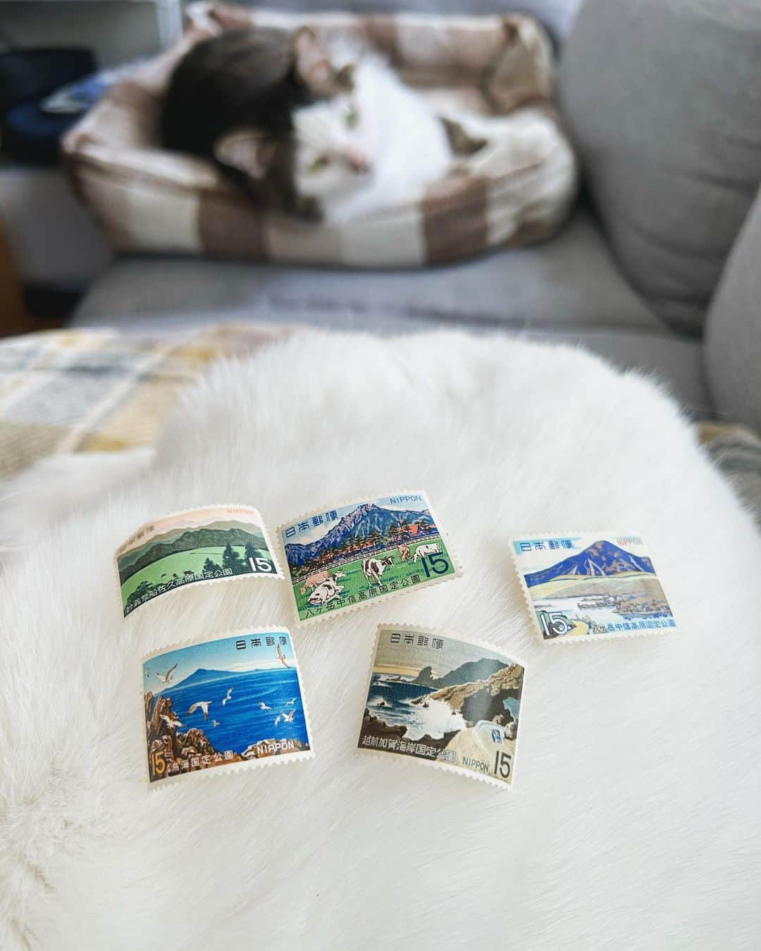 八、おこめのインスタグラム：「#宇野の切手コレクション 国定公園シリーズも好きなのです♡ そろそろちゃんと切手整理しなきゃな〜 と思いつつ眺めて愛でてまたケースに戻すw #切手は小さな絵画 #切手 #切手収集 #切手シート #日本の切手 #猫と切手 #日本切手 #切手コレクション」