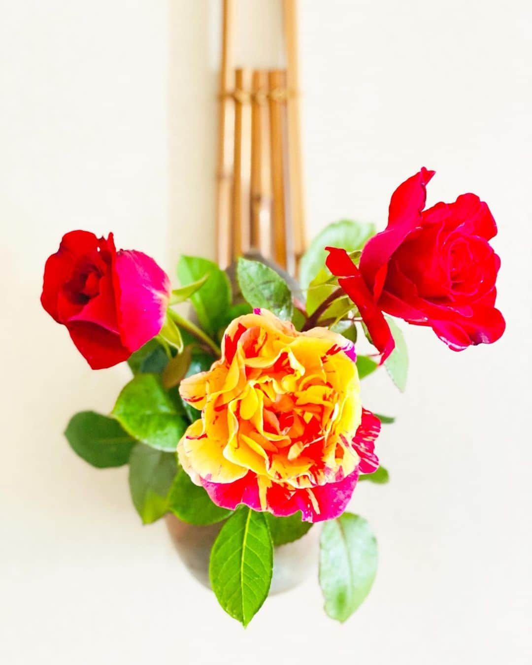 祥吉さんのインスタグラム写真 - (祥吉Instagram)「薔薇の季節 マーブル模様が可憐な薔薇をいただきました どちらかと言うと小花に惹かれますが  やっぱり薔薇は存在感があって美しい  一気に華やかになりました  #薔薇 #ばら #バラ #マーブル模様 #花 #花を飾る」5月11日 11時17分 - akoshokichi