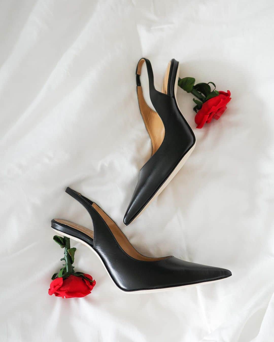 アン・カーティスのインスタグラム：「Stop and 𝓌𝑒𝒶𝓇 the roses 🥀 @loewe」